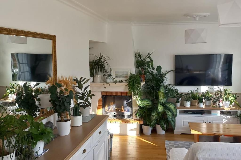 Hébergement de vacances Grande Maison Familiale Proche Port De *